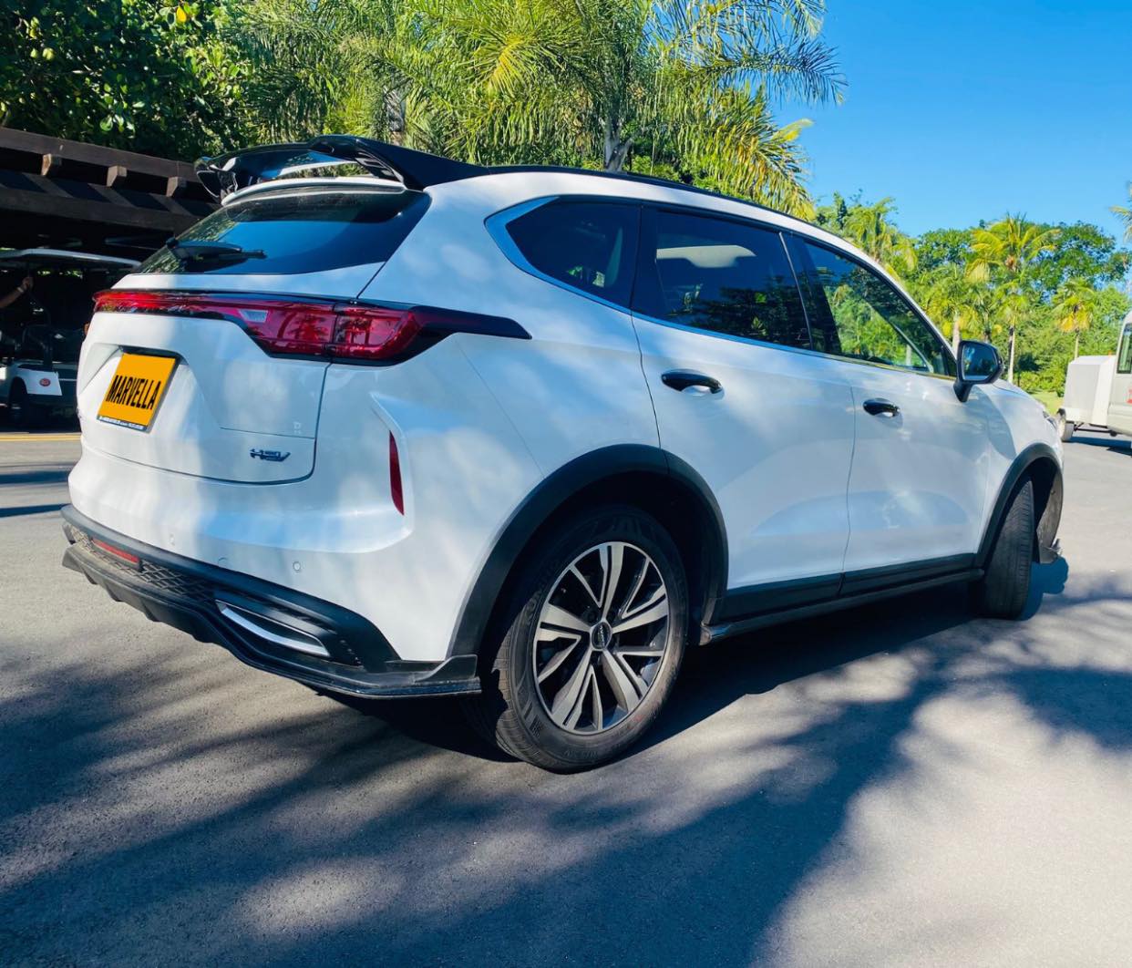 marvella-haval-julion-2