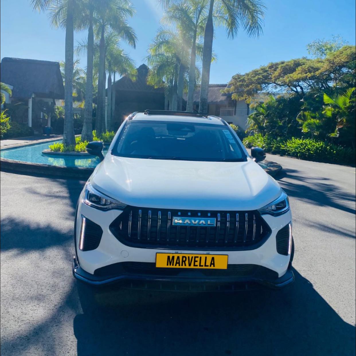 marvella-haval-julion