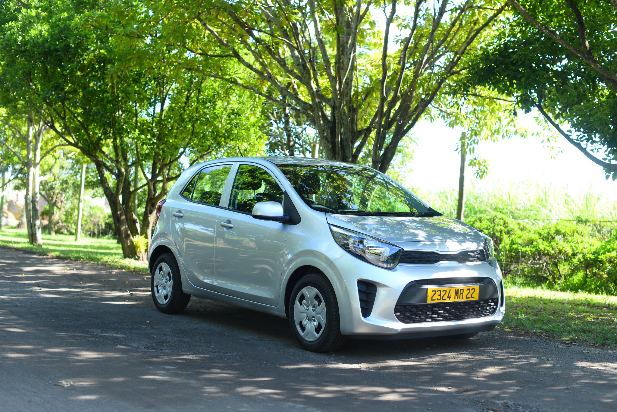 marvella-kia-picanto-1