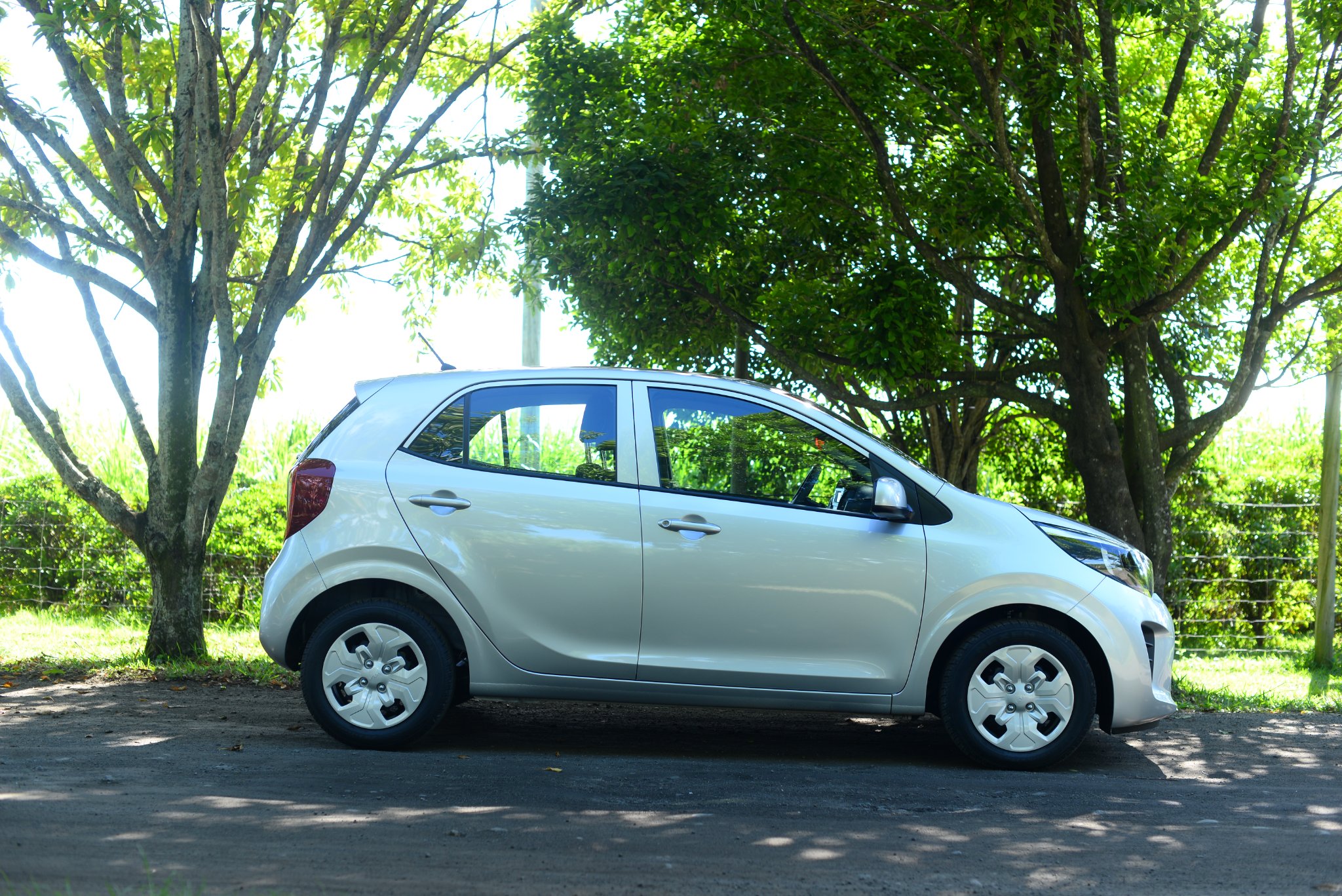 marvella-kia-picanto-4