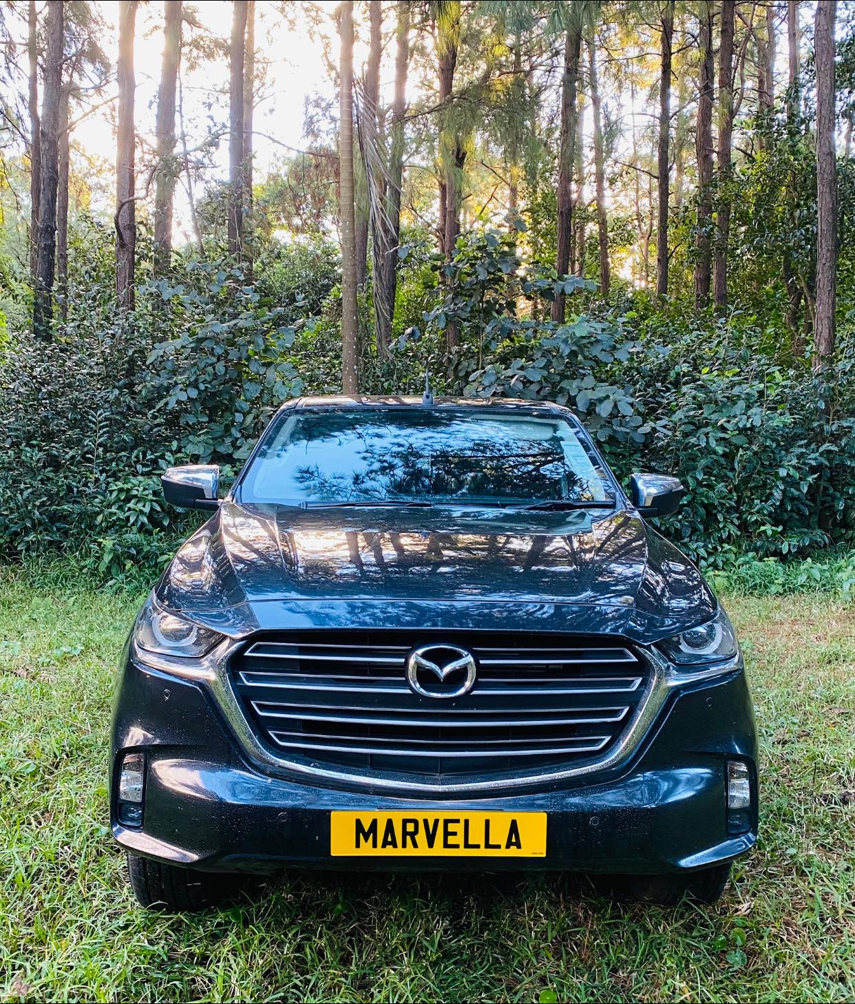 marvella-mazda-bt50-1